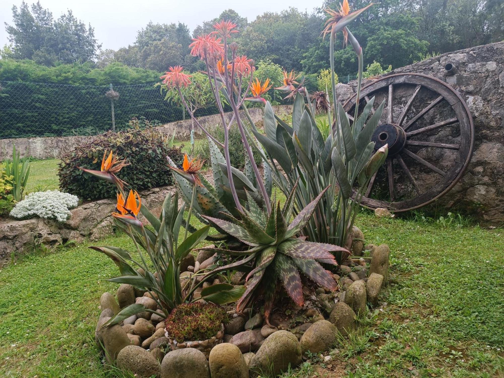Villa Casa Coba Camijanes Exterior foto